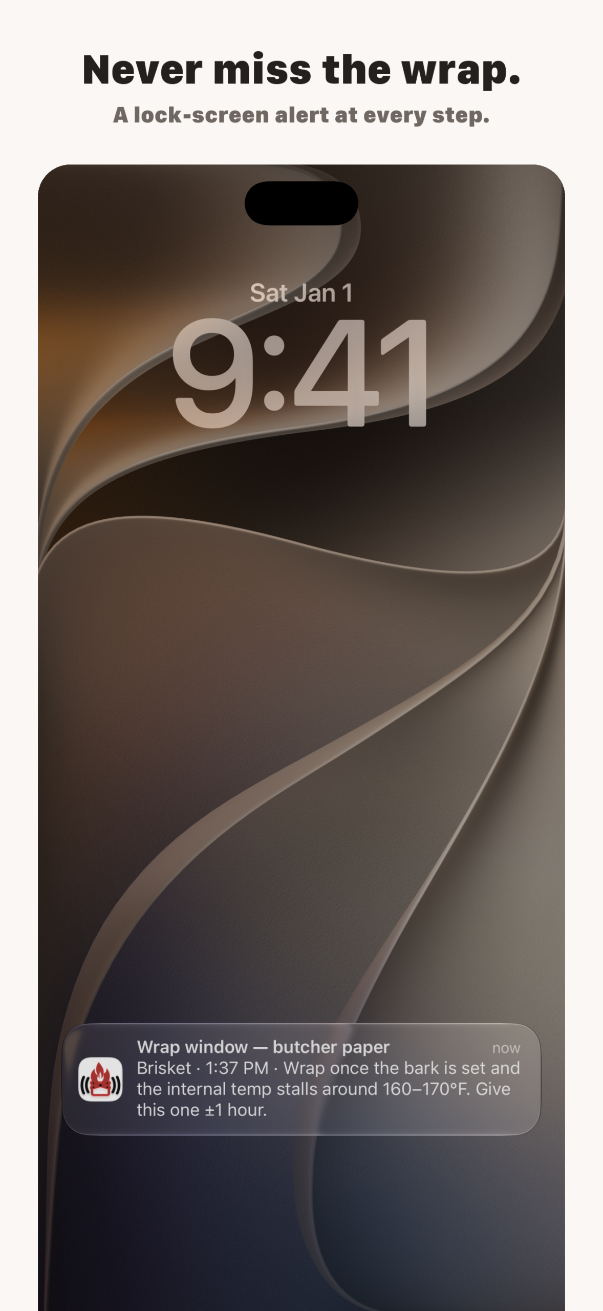 The BBQ Geek iPhone App alerts